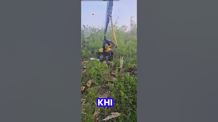 Khó thế mà cũng nghĩ ra #tintuc #giaitri #haihuoc #tiktok