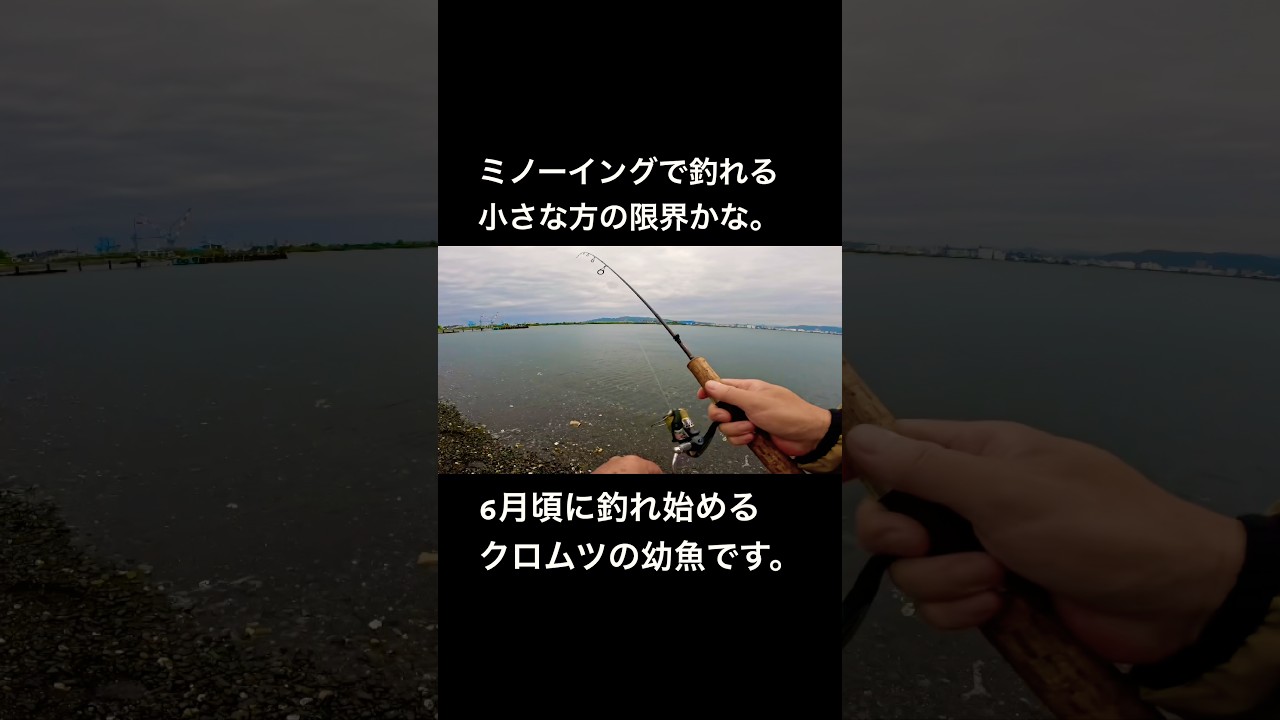 ルアー・フライ MARINO200SLIM Beacon180 MARINO160 TROUT ZX