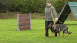 Download Lagu Inca 55 pnt VZH.wmv MP3