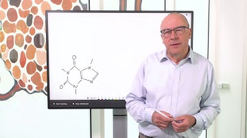 What is Density Functional Theory (DFT)