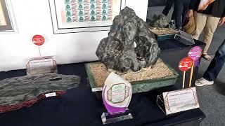Suiseki Kontes Batu Alam Di Senayan Luar Biasa