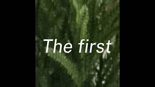 Nightfall My First Song