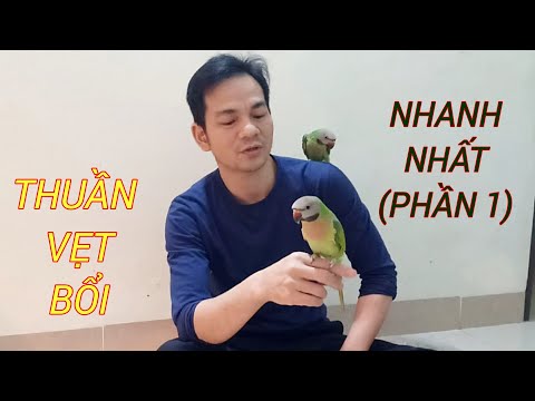 Video: Làm thế nào để thiết lập một lồng chim cho một con vẹt, vẹt hoặc vẹt