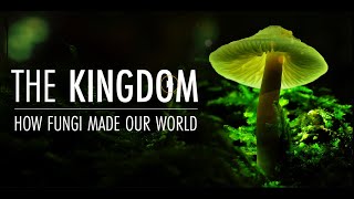 Тайное Царство: Грибы, Определившие Наш Мир (2018) [4K] The Kingdom How Fungi Made Our World