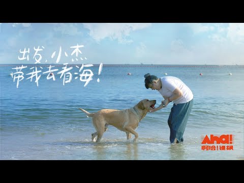【Aha video】Let's Go! Xiaojie Takes Me to The Sea! A Journey of a Blind Girl and Her Guide Dog