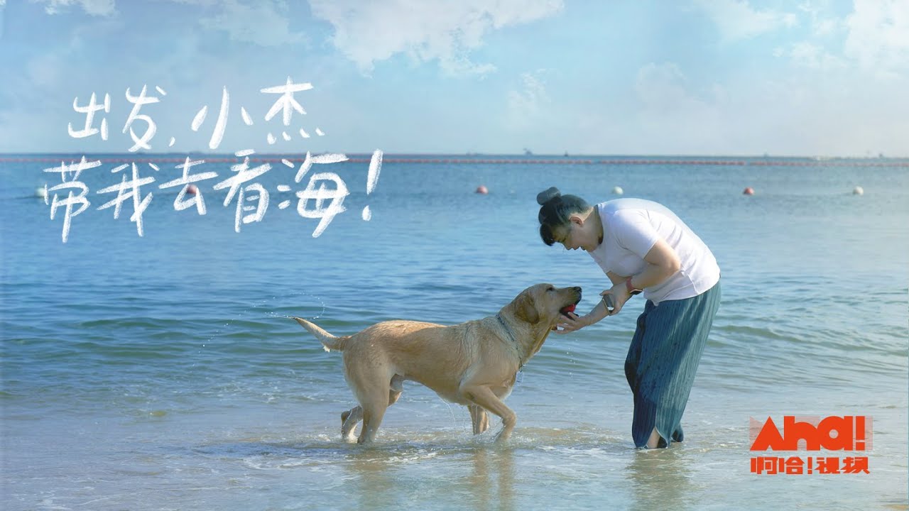 Aha视频 出发 小杰带我去看海 盲人女孩和导盲犬的旅程 国际盲人日 Youtube