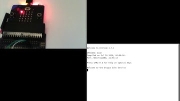 Drogue-device UART demo