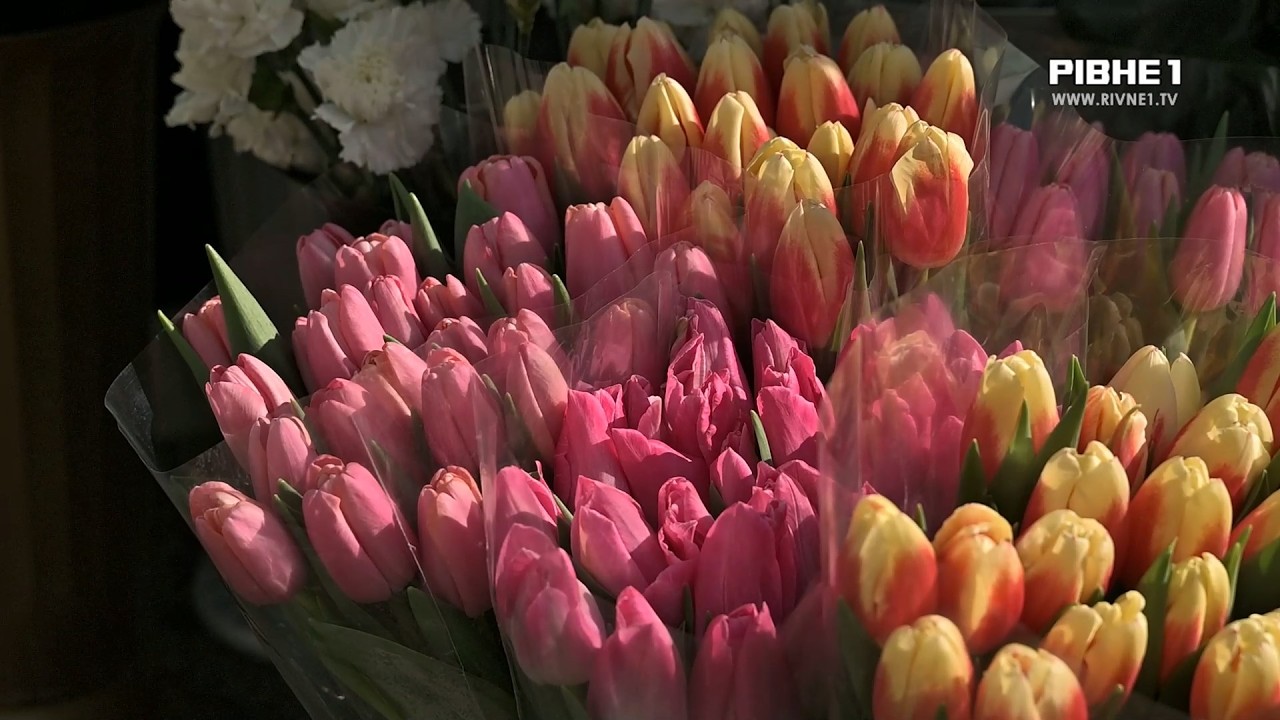8 березня у Рівному: скільки коштують квіти та що думають містяни