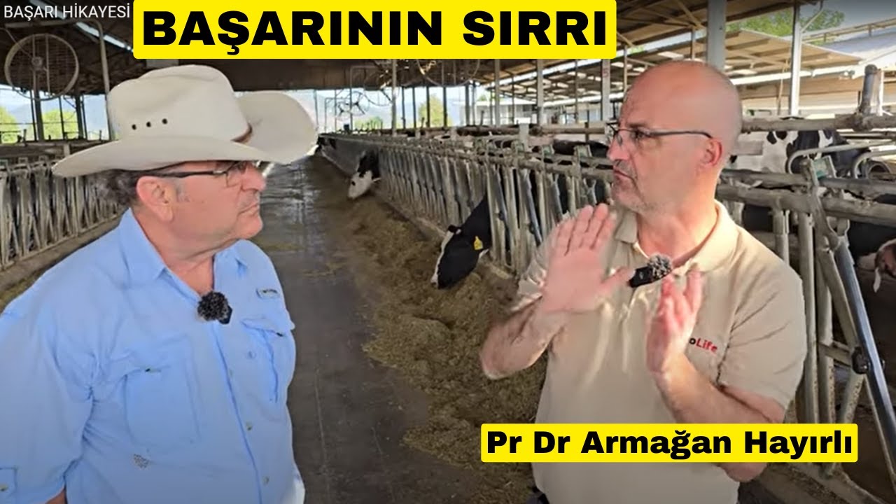 MÜTHİŞ BAŞARI HİKAYESİ (Prof. Dr. Armağan Hayırlı'dan Dinleyin)