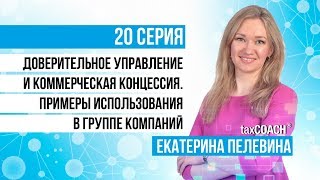 Доверительное управление и коммерческая концессия. Примеры использования в группе компаний