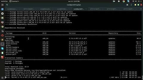 How to Fix Yum Update  Error Could not resolve host