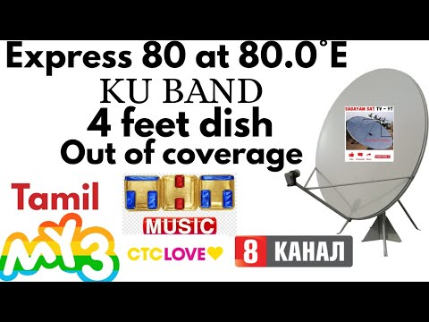 Kunstenares Saddie Choua over 2025: 