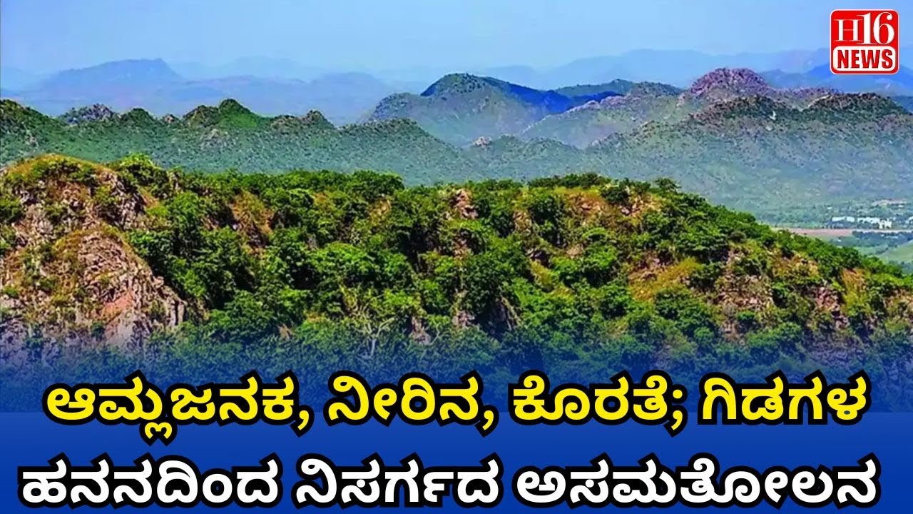 Aravalli Landslide : ಆಮ್ಲಜನಕ, ನೀರಿನ, ಕೊರತೆ; ಗಿಡಗಳ ಹನನದಿಂದ ನಿಸರ್ಗದ ಅಸಮತೋಲನ | Lack of oxygen, water,