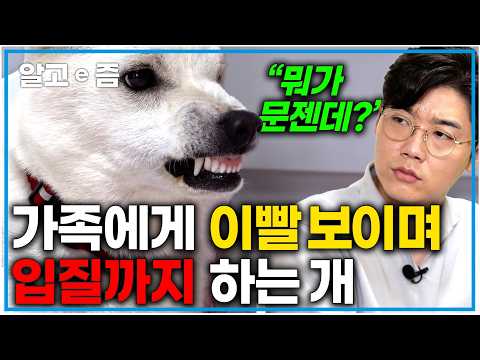 &amp;quot;평소에는 착하디착한 반려견인데...&amp;quot;강한 집착을 보이며, 소유 공격성으로 인해 가족에게 사납게 으르렁 대요, 설쌤의 솔루션으로 달라질 수 있을까?ㅣ세상에 나쁜 개는 없다ㅣ알고e즘