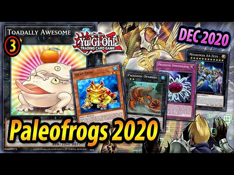 Video Paleofrogs *3 TOAD* | TCG FORMAT DEC 2020 - youtube