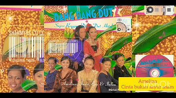 Amelina_Cinta Bukan Sayur Asam