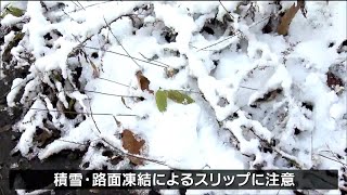 仙台で初雪を観測 平年より1日早い 標高の高い峠道ではスリップに注意