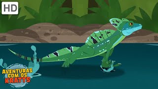 Este Lagarto Pode Andar Sobre A Água Episódios Completos Aventuras Com Os Kratts