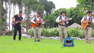 8 de noviembre de 2018