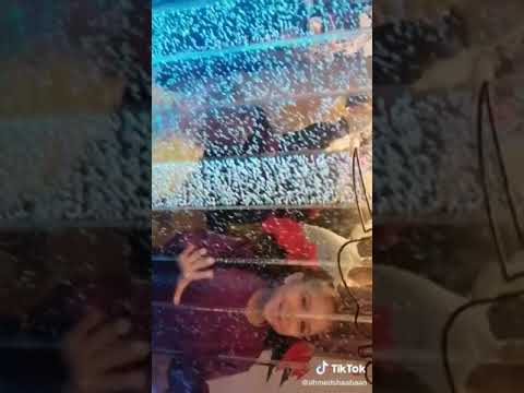يا باشا عيب نزل ايديك