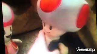 Toad And Toadette Kissing 3