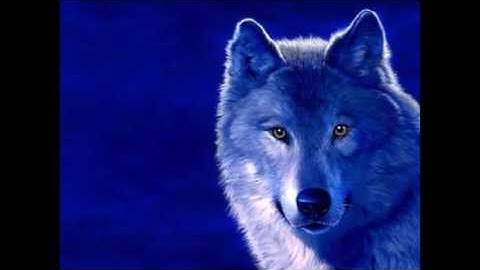 Blue Wolf - Intro