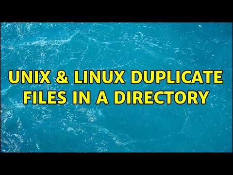 Unix & Linux: Duplicate Files in a directory