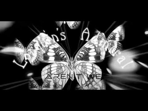 Lorquin&rsquo;s Admiral - Aren't We (Official Video)