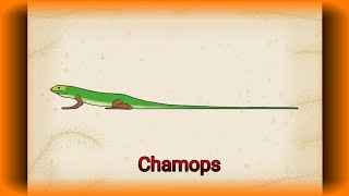 Palaeoperfil: Chamops, Squamata.