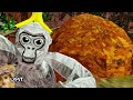 FALL UPDATE IS HERE!
