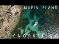 Now or Never: Exploring Mafia Island Marine Park | Snorkeling Adventure