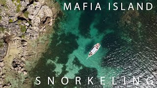Now or Never: Exploring Mafia Island Marine Park | Snorkeling Adventure