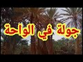 جولة في الواحة لولاية البيض 