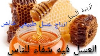 العسل فيه شفاء للناس. تربية النحل.انتاج عسل .طبيعي .خالص. وصحي.