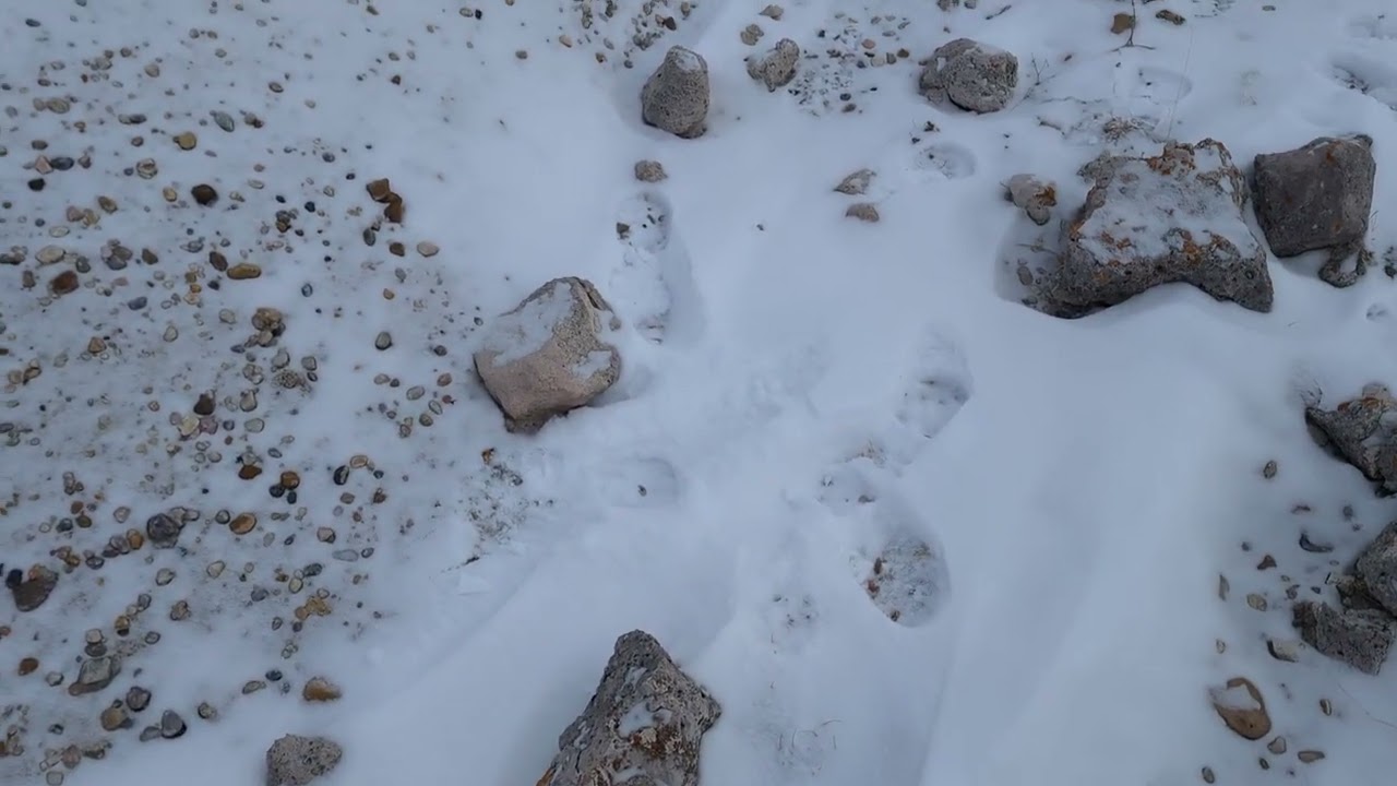 More Than SD's State Gemstone