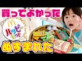 #ハッピーセットを探せ 買ってよかったハッピーセットのおもちゃBEST9 ハンターにぬすまれた!☆コラボ☆ふたりはなかよしさん|日曜家族#874 (*´ω`*)