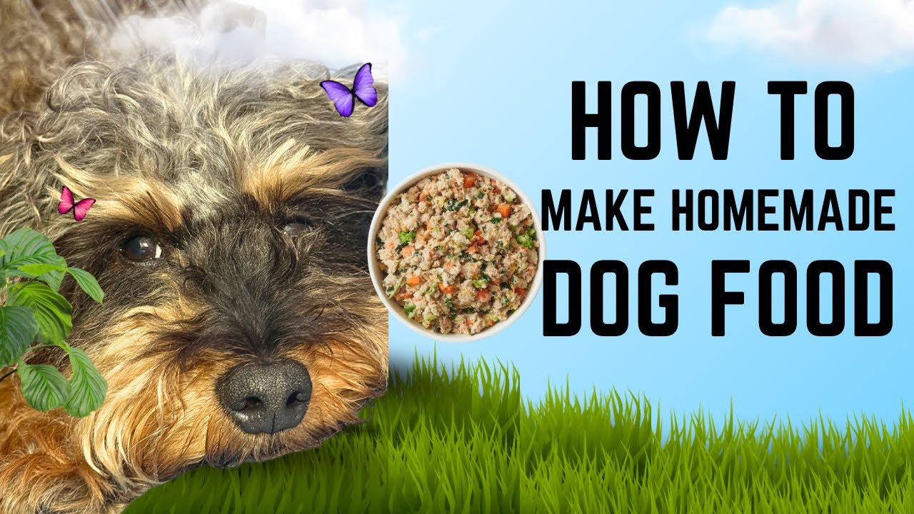 I Started Making My Own Dog Food at Home | Saved Money + My Dog Feels Better