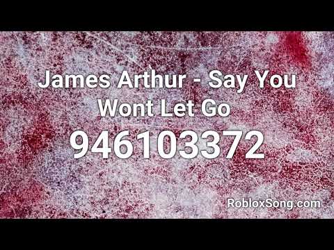 James Arthur Say You Wont Let Go Roblox Id Music Code Youtube - let go roblox code