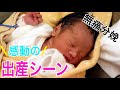 赤ちゃん誕生までのストーリー！出産シーン公開（無痛分娩）『A Birth Story』本編（#ファミリー動画4）