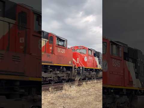 Thundercab and ACC Trailing on CN A421!! #shortvideos #train #train #railtrack #cntrain
