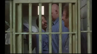 Stir Crazy - Pryor And Grossberger