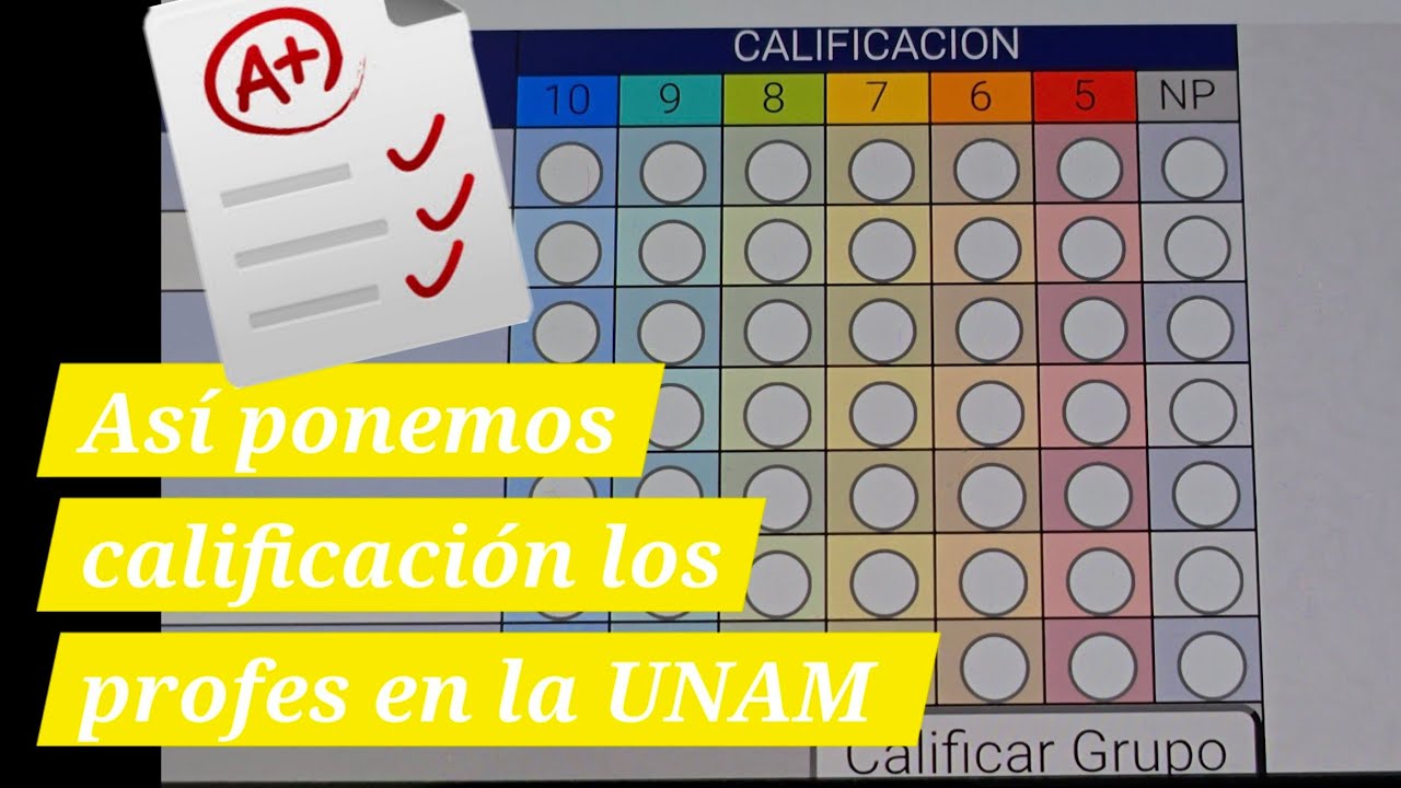 Como calificamos los profes en la UNAM y llenamos actas