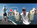 808 st croix fishing reel St. Croix Sole Inshore Fishing System – White Water Outfitters