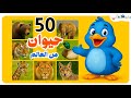        أسماء و أصوات حيوانات باللغة العربيةللاطفال