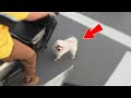 Stray Dog Didn’t Get Lost—It Targeted This Delivery Rider: Red Light Twist 🐶🔴#animals  #rescue #dog