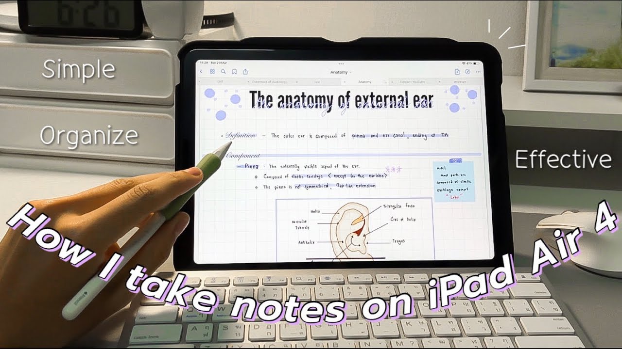 How I take notes on my iPad📔 🏻 แชร์เทคนิคจดโน๊ตบน iPad ให้มีประสิทธิภาพ ...