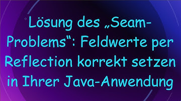 Lösung des „Seam-Problems“: Feldwerte per Reflection korrekt setzen in Ihrer Java-Anwendung