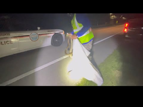 Hunting Pythons and Police officer is now a Fan of Florida State Hunters