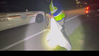 Hunting Pythons and Police officer is now a Fan of Florida State Hunters screenshot 3