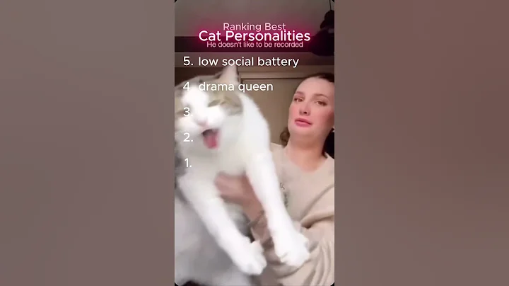 Video 10604021: kitten feline cats, cat kitten training, funny feline cat, adorable cats